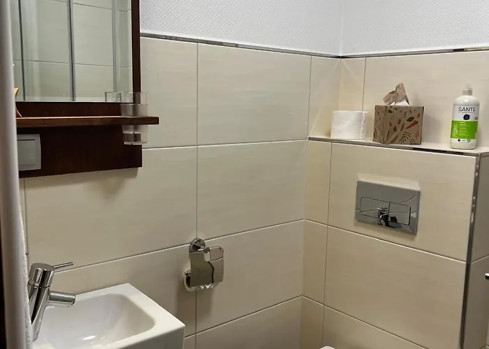 Отель Henblas 3*